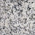 Granite Worktop Bianco Sardo Sample
